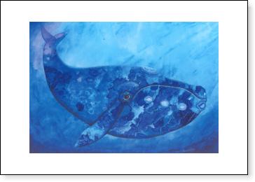 Southern Right Whale