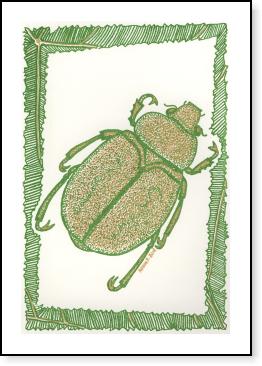 Christmas Beetle
