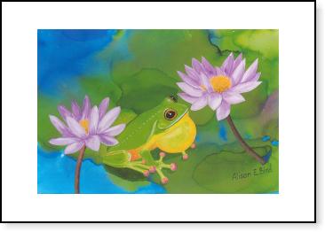 Frog on a Lilypad