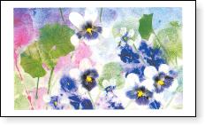 Australian Violet gift tag