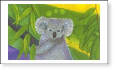Koala