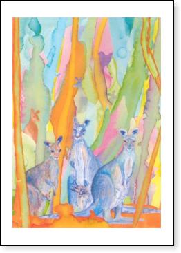 Kangaroos
