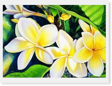 Frangipani  Print
