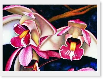 Orchid  Print