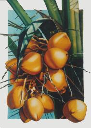 Tropical Bounty Print