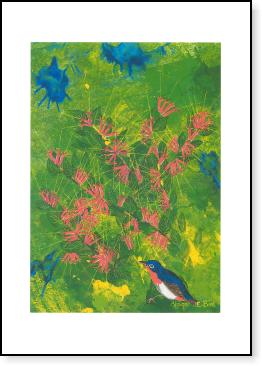 Mistletoe and Mistletoe Bird