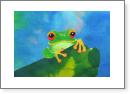 Frog in the Sky
