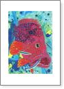 Coral Cod