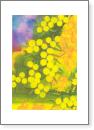 Wattle